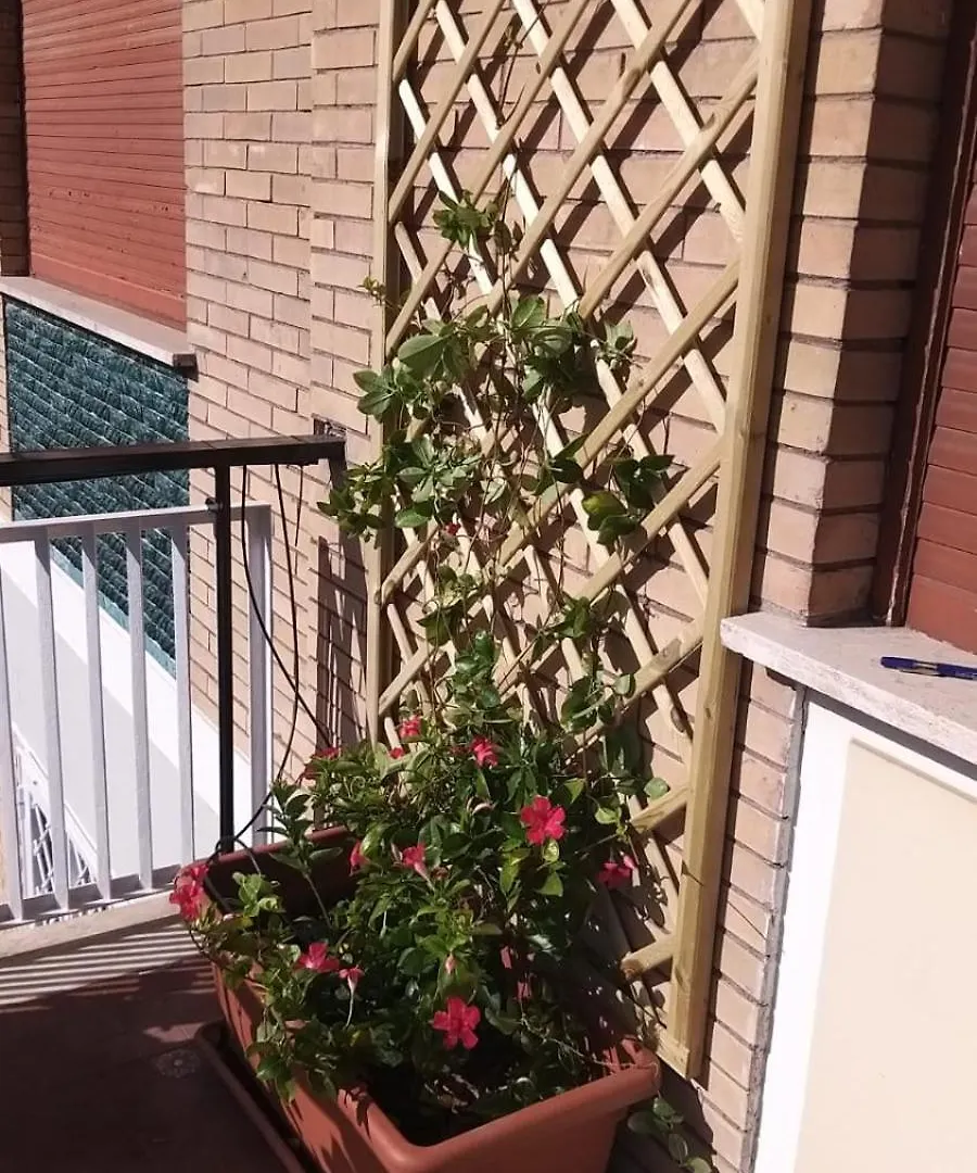La Casa Dei Nonni Al Vaticano Rome Apartment